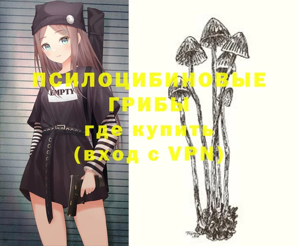 спайс Богданович