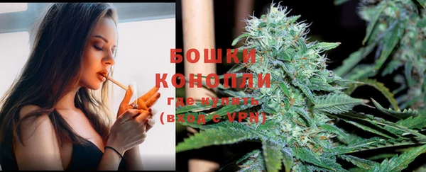 спайс Богданович