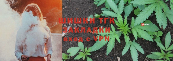 спайс Богданович