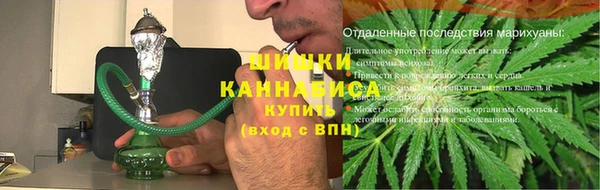 спайс Богданович